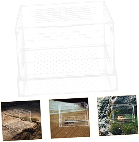 IPETBOOM ANFIBIA 3PCS FEELEIRAS Caixa de alimentação Terrário Terrarium transparente Spider
