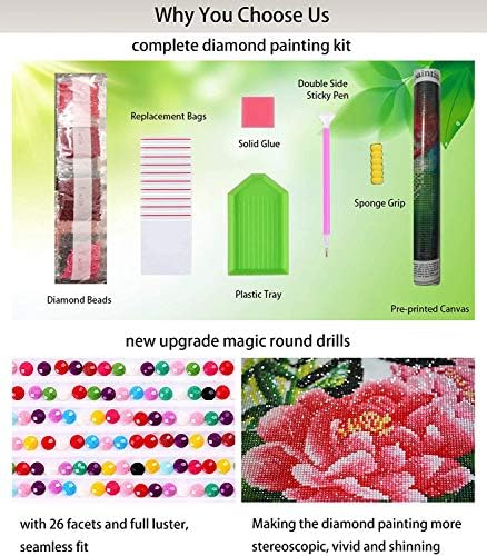 Kits de pintura de diamante para adultos 5D Paisagem Paintamento de diamante completo de diamante por números