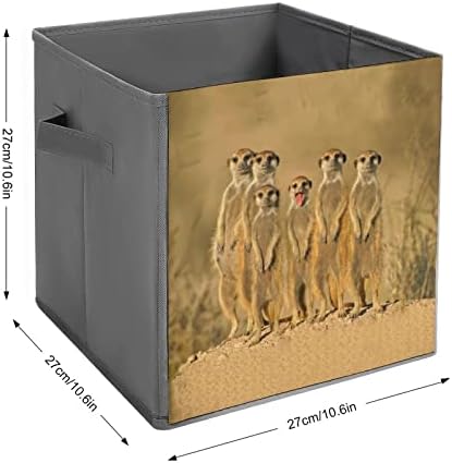 NUDQUIO Africano Meerkat Animal Dobring Bins de armazenamento caixas dobráveis ​​Cubo de tecido Organizador simples com alças para casas de casa Toys Livros de 10 x 10 polegadas