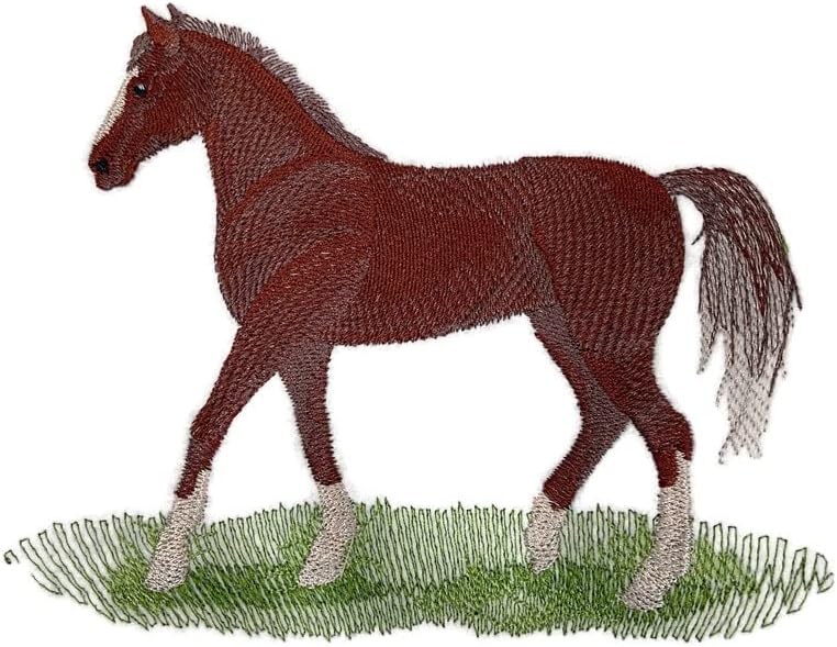 Além do Vision Custom Horse [Morgan Horse] Bordado de ferro bordado/Sew Patch [6,48 W x 5,31]