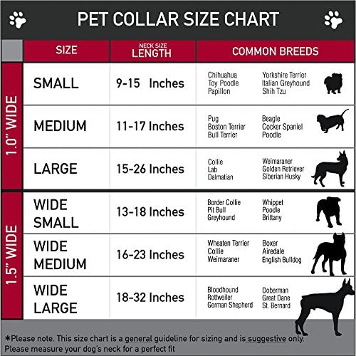 Cola de cachorro martingale de fivela - estrelas de Paisley preto/roxo/branco - 1 de largura - se encaixa no tamanho do pescoço de 15-26 - grande