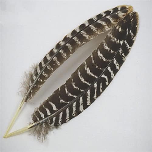 Penas de águia natural 8-16 /20-40cm Pássaros de águia penas para artesanato em casa penas decoração carnaval