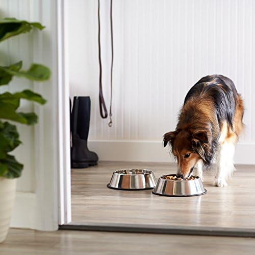 Basics Basics Aço inoxidável Pet Dog and Food Bowl, conjunto de 2