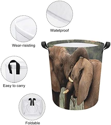 Foduoduo Cesta de lavanderia elefantes selvagens que tocam natureza de animais sul -africanos Rapaz