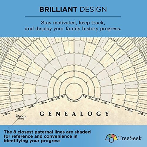 Treeek Genealogy Fan Wall Gráfico | Grande formulário de pedigree preenchível em branco para história