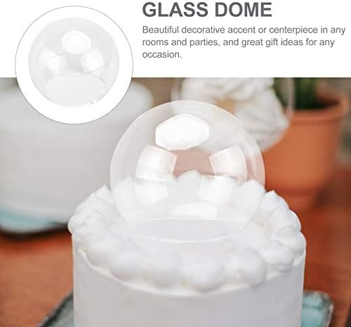 Plantas aquecidas decoração cúpula de vidro global cúpula clara cúpula tampa de cães de terrário globos de neve de testa