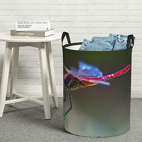 Red Dragonfly Imprimindo cesta de lavanderia grande com alça de alça de lavanderia de água dobrável para o quarto,