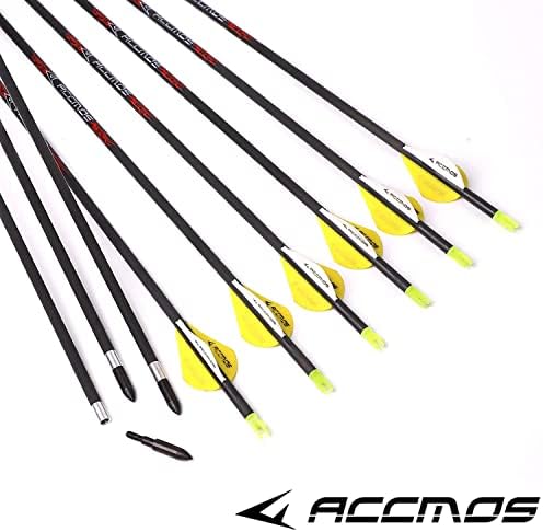 6/12/24pc ID 5,2mm .204 Arrows de carbono de comprimento personalizado 22-31 polegadas coluna 300