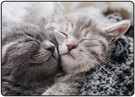 Tsingza tapete macio tapetes de área grande, gatinhos adormecidos no amor confortável no tapete interno, tapete de brincadeira para a sala de estar com decoração de casa de casa tapete de piso 80x58innch