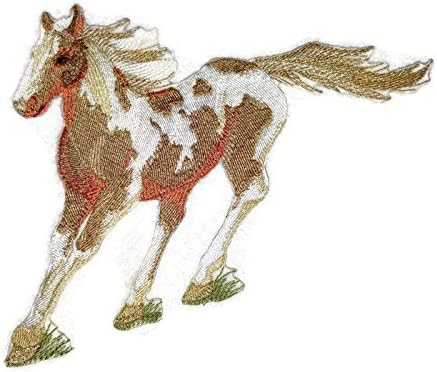 BeyondVision Custom e Spirit Of Stallions [cavalo pintado] [personalizado e exclusivo] Ferro bordado/patch