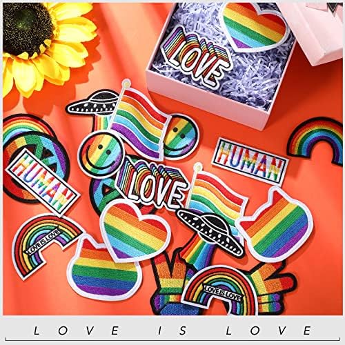 22 PCs Rainbow Pride Bordado Ferro bordado em manchas Smile de manchas de coração Rainbow Patch de apliques de costura variados para roupas para roupas artesanais DIY Acessórios de emblemas, 11 estilos, cor de arco -íris