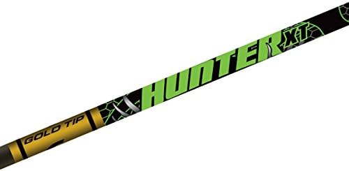 Gold Tip Hunter XT setas com palhetas Raptor de 2 polegadas, a cor pode variar