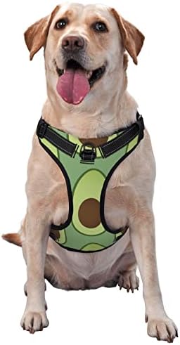 Arnês de cães Avocados verdes Padrão Pet Pet