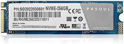 Pasoul SSD 256GB NVME M.2 2280 PCIE GEN 3.0 X2 3D TLC Power Saving até 2000 MB/s gravar até 1200 MB PAMNVMEM2-256