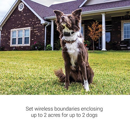 Garmin Delta Inbounds, sistema de contenção de cães sem fio, cobre até 2 acres, com rastreamento e treinamento de atividades