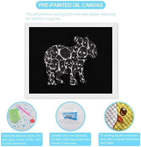 Kits de pintura de diamante do crânio Capybara 5D DIY FLILHO FULHO RETRA DE RETRAS DE ARTES DE WALL Decor