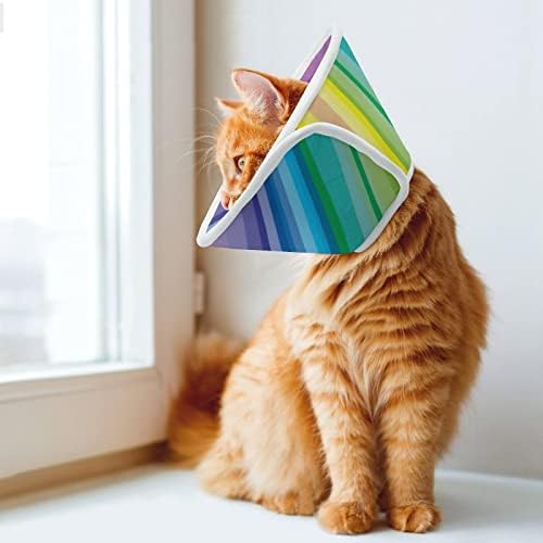 Resumo Rainbow Background Print Cone Cone Pet Recuperação Elizabeth Collar Protective for After Surgery