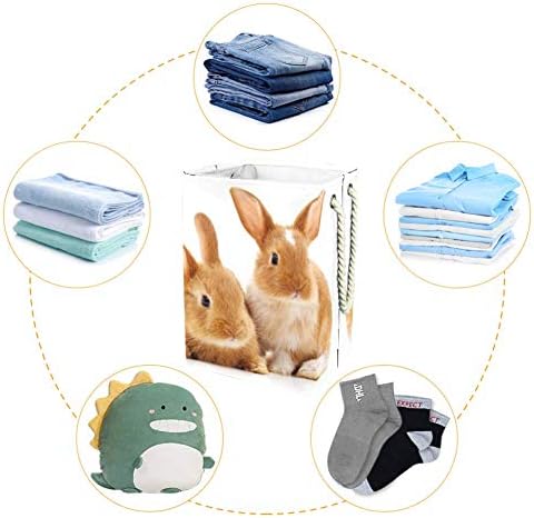 UNICEY Páscoa Cute Clea Rabbit Horty Tester Collapsible Basking para Bin Storage Baby Horting