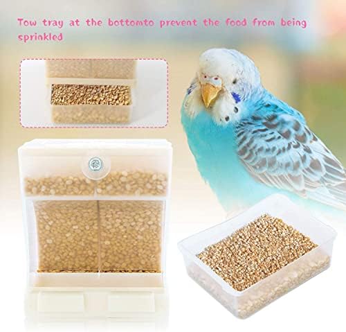 Alimentador de pássaros sem -mess rypet - Parrot alimentador automático integrado para aves pequenas a médias