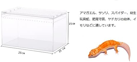 Caixa de alimentação de répteis transparentes de repto de repto de repto de pequeno portador de criação
