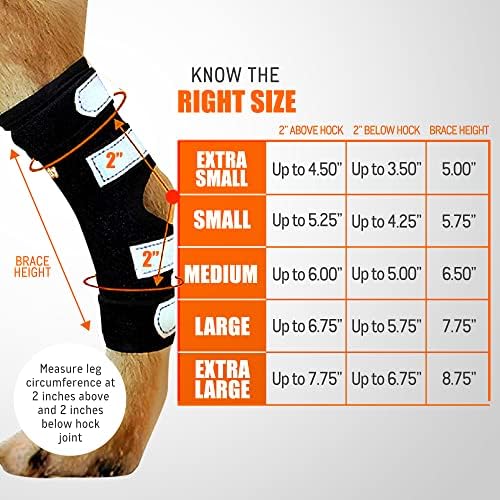 Neoally® - Puxa de jarrete da perna traseira com tiras de mola de metal, cinta de perna de cachorro para a perna traseira, suporte de jarrete e tornozelo, cinta de perna traseira para cães grandes, versão longa, média, 1 par