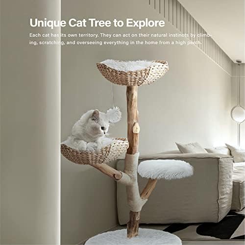 Torre de gatos de gatos de gatos de madeira de gato de madeira, árvores de gatos pesados ​​para gatos grandes,