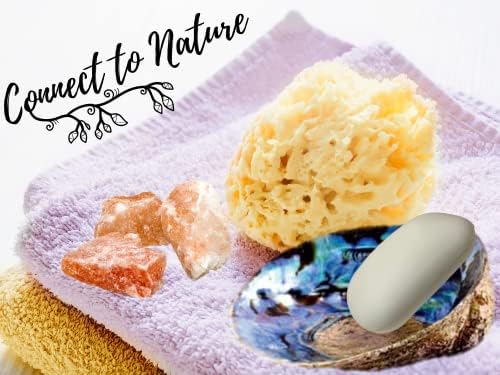 Esponja do mar Conjunto de esponja de banho natural de 5 ”, esponjas marinhas - esponja de bucha