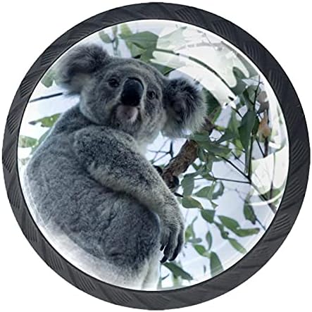 Botões de gaveta de cerveja, botões de armário de árvore de coala adoráveis ​​para berçários, botões decorativos redondos 4pcs 1,38 × 1.10in