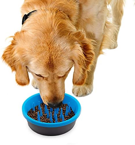 Dexas Slow Feeder Dog Bowl para digestão mais saudável, dentes e gengivas, 6 xícara de capacidade, cinza e azul
