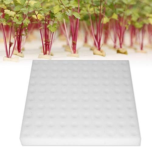 100pcs de esponja hidropônica Plantamento de esponja Ferramenta de jardinagem esponjas quadradas para mudas