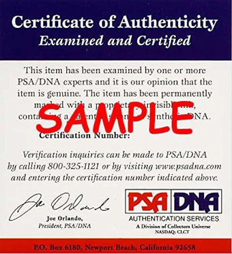 Tori Black PSA DNA CoA Autograph 8x10 foto AVN assinado 7