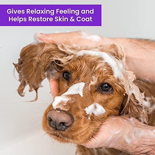 Aroma shampoo e condicionador de cães - shampoo aromático sem lágrimas para limpeza, limpeza e condicionamento
