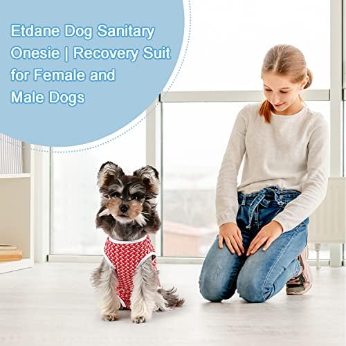 Etdane Dog Fregers calces sanitários Camisas fisiológicas Camisas de recuperação cirúrgica para cães machos