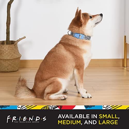 Amigos O programa de TV City Doodle Dog Collar para cães médios, médio | Gola de cachorro médio azul, colarinho