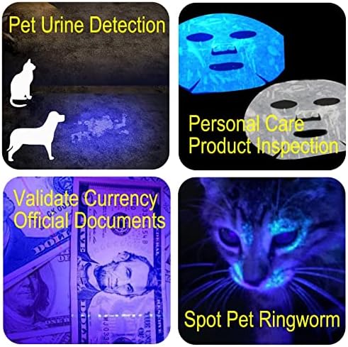 Brush de cachorro e UV LED LEDCHOMLHOTH LANTHLUTE USB Recarregável, 365nm Blacklight para treinamento de detecção