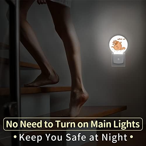DXTKWL Funny Cat Animal Round Night Lights 2 pacote, Wake Up Quote Plug-in LED Nightlights Auto Dusk para Lâmpada