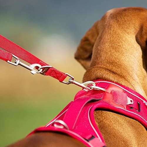 Curli coleira ajustável Nylon cão coleira forte e durável Tripla ajustável 6,56 pés de comprimento 0,78 polegadas