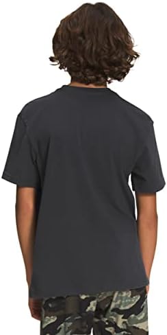 A camiseta gráfica de manga curta dos meninos de North Face, asfalto cinza/cone de cone, x-large