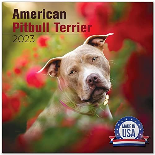 2022 2023 Calendário Pitbull - Calendário Monthal de Parede da Raia de Dog - Calendário Americano Pitbulls