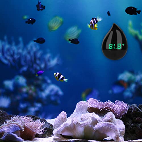 Aquário Tanque de peixes Termômetro Digital: Termômetro de aquário sem fio Aquário Alta precisão Aquário Aquário Aquário Termômetro digital para peixes axolotl Tartarugas