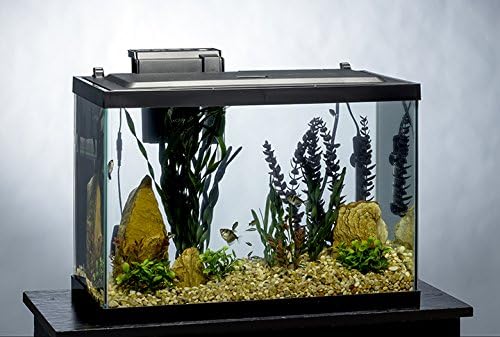 Kit de tanque de peixes de 20 galões Tetra Aquarium, inclui iluminação e decoração de LED
