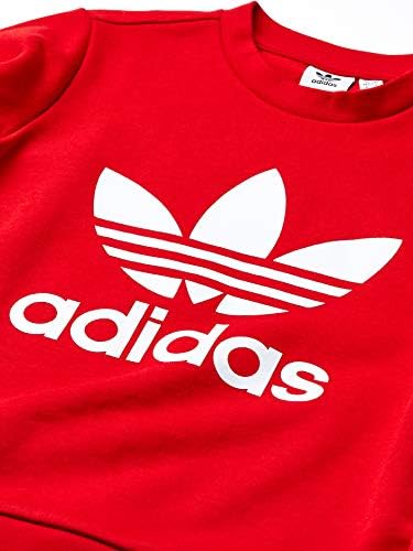 Adidas Originals Little Kids Trefoil Crewneck Sweatshirt