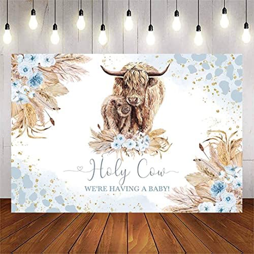 Avezano Highland Cow Baby Charf -Beddrop para garoto Holy Cow Highland Gado Decorações de festa do chá