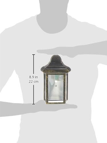 Iluminação de Globo Trans TG44835 BG One Pocket Lantern Lights ao ar livre, 8-1/2 polegadas, multi
