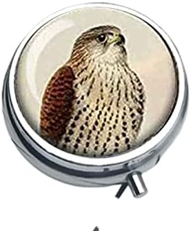 Tinnunculus newtoni - peregrine falcon - pássaro lua com falcoaria