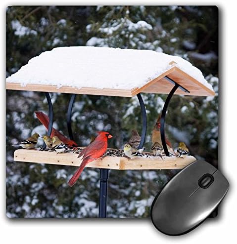 3drose norte Cardinals e American Goldfinches, Illinois, EUA - Mouse pad, 8 por 8