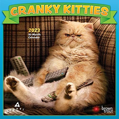 Avanti Cranky Kitties | 2023 7 x 14 polegadas Mini calendário de parede mensal | BrownTrout | Felino de gato