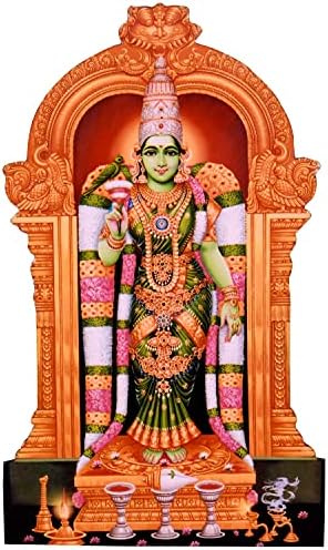 Deusa do vils madurai sri meenakshi amã divina bênção sagrada madeira e estátua de plástico/moldura com suporte