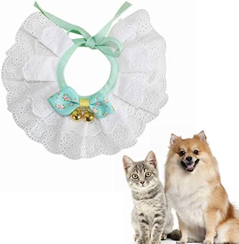 Dog Gato Collar Birche Bow - Jóias de colar de filhotes de gatinho de Enteifeng com Bell Lace Bowknot