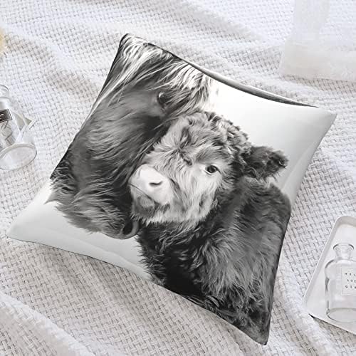 Flyswallow Farm Animal Baby Highland Cow Mordern Throw Proassh capa, Aceite a capa de travesseiro quadrado, 18